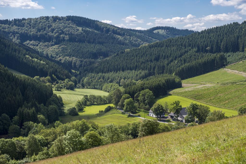 Landhaus Zum Sorpetal Schmallenberg Exterior photo
