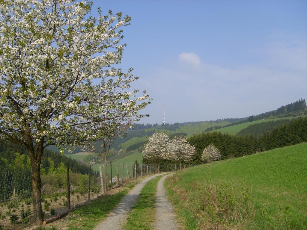 Landhaus Zum Sorpetal Schmallenberg Exterior photo