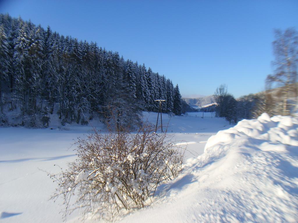 Landhaus Zum Sorpetal Schmallenberg Exterior photo